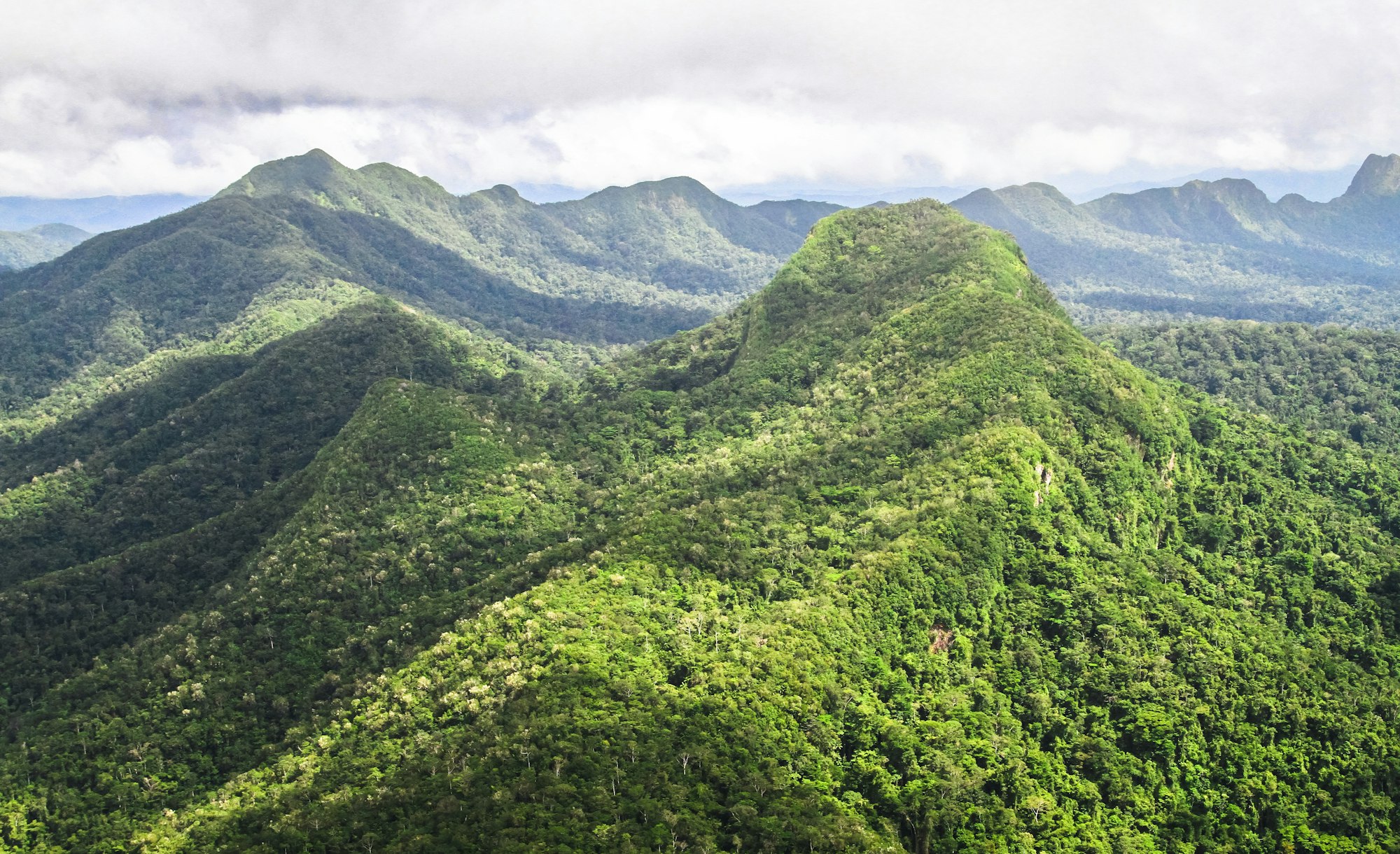 Aerial View of Mountainous Jungle in Belize