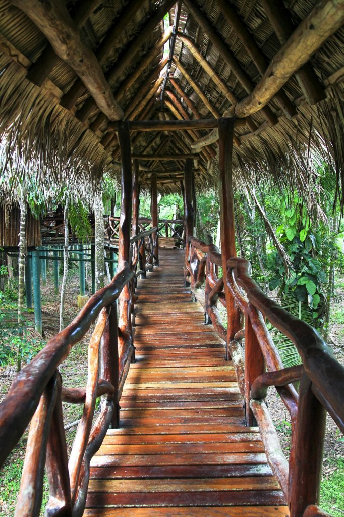 Wooden Walkway With Thatch Roof in the Jungle in Belize